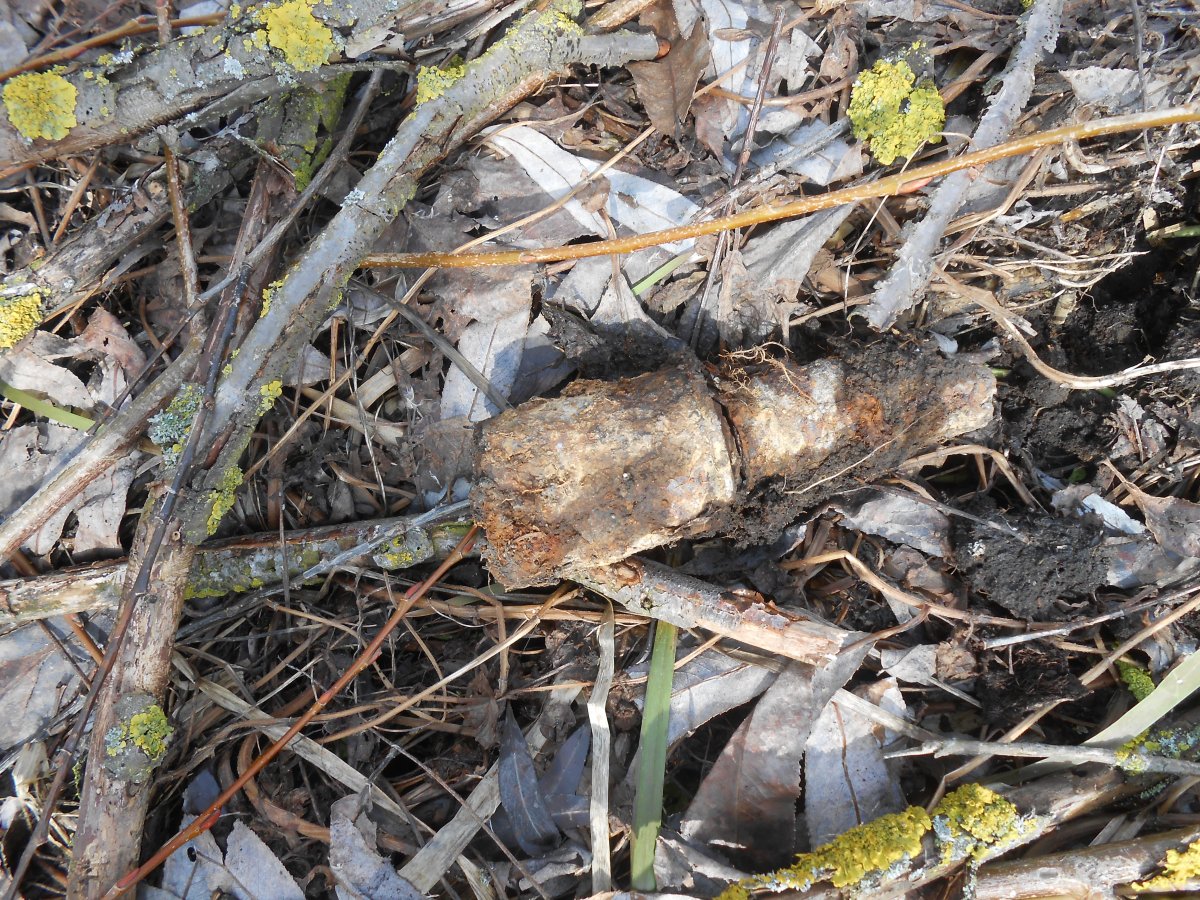 DSCN9966.JPG