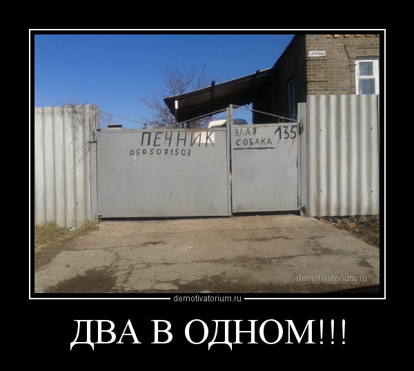 два в одном.jpg