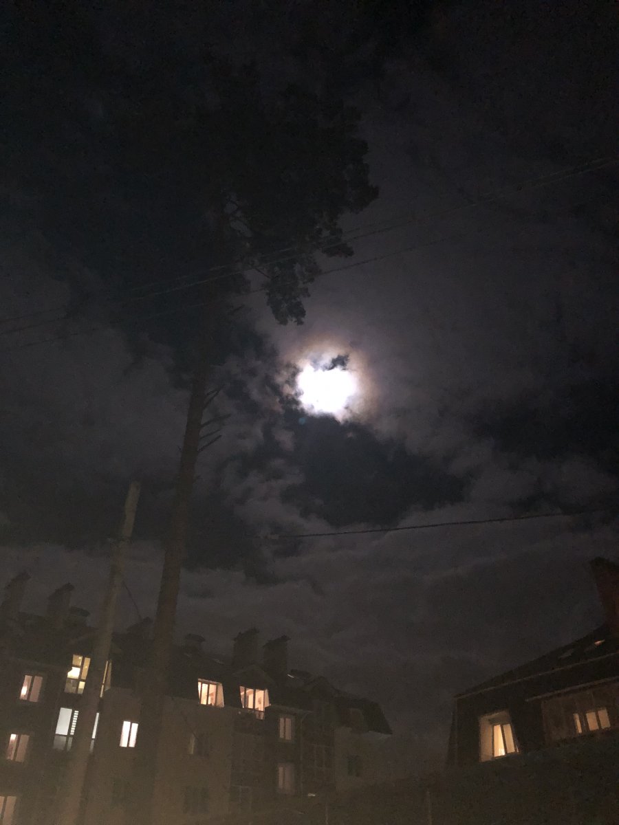 E04C7442-C339-48FE-A72D-9B9D082B5308.jpeg