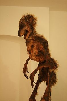 e1c548c6383a1ccfdcc92ebca98c5e46.jpg