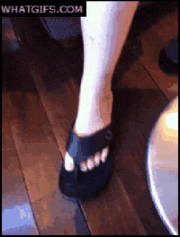 E2AB7968-0C45-41D5-9D2E-C83B0BCF8B2E.gif