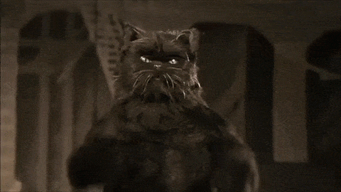E2AC672D-3669-49B4-AC83-C4D39C2A8FFA.gif