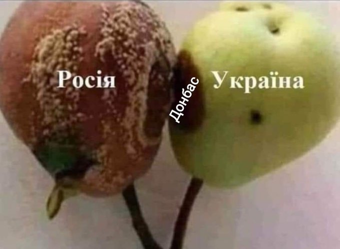 E5OP_ODWQAQP3GH.jpeg.jpg