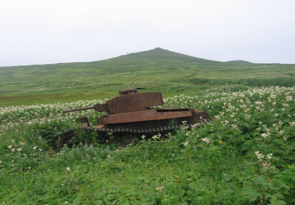 e7556e41eba6.jpg