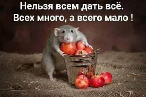 E8ADEE71-D7BA-4F34-8FF1-9B34AE418295.jpeg