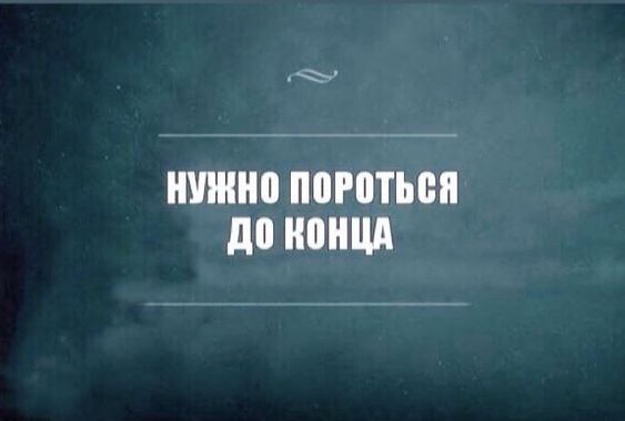 e91d3d81afbbefcd3bd4308a1dd6ffa9.jpg