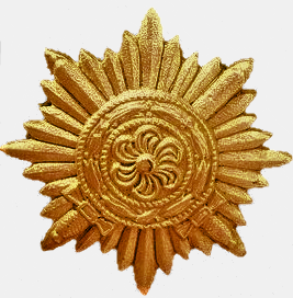 Eastern_People's_Medal_in_gold_(Ostvolkmedaille).png