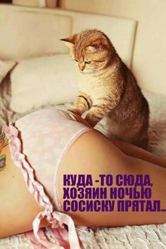 ecf2c6f35ecb080568d7d185eb7864c5.jpg