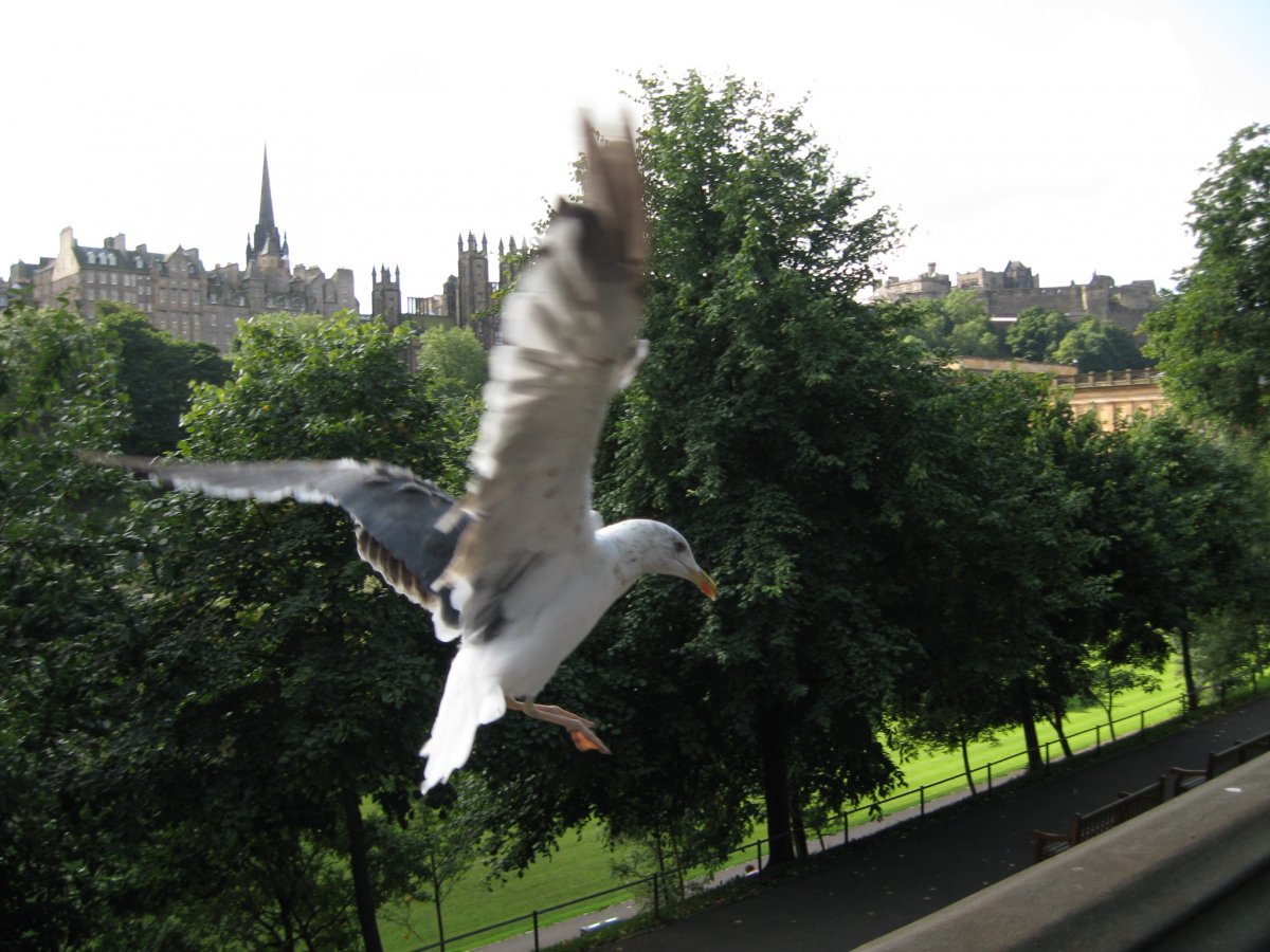 Edinburgh 062.JPG