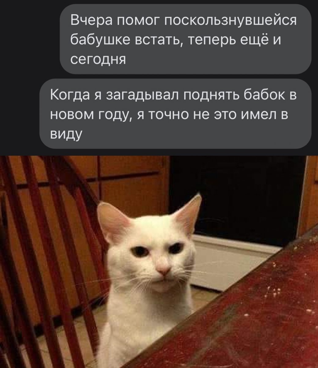 eEvbO2cmp-g.jpg