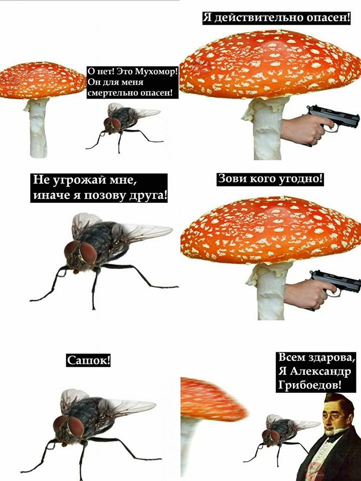 EF3F4B41-E8B3-4083-9EA0-F6AE2DAF8066.jpeg