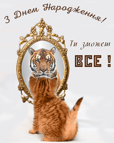EFC2F76D-59EA-4AA8-A6E0-C675A1694B22.jpeg
