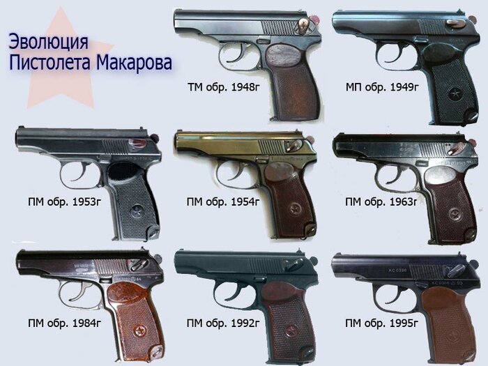 эволюция.jpeg