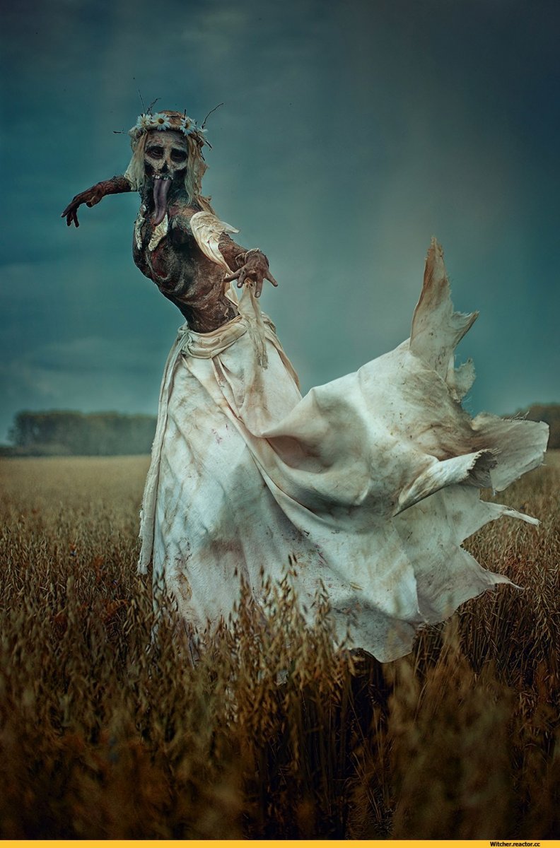 Елена-Самко-Witcher-Cosplay-The-Witcher-фэндомы-3235465.jpeg