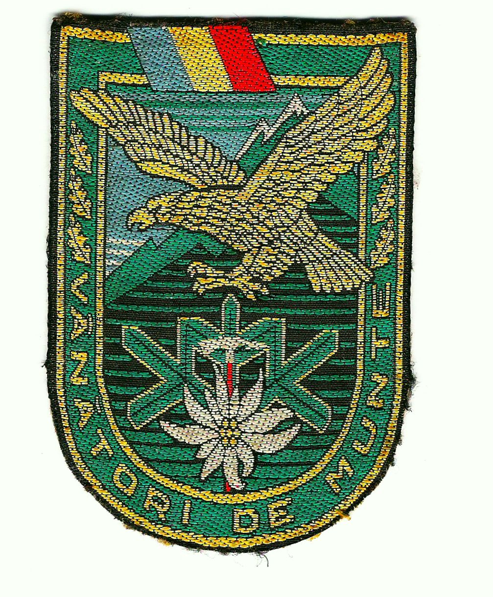 emblema_vc3a2nc483torilor_de_munte1.jpg