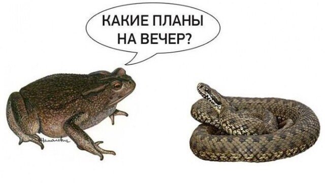 ESV8ZK9XQAACabW.jpg