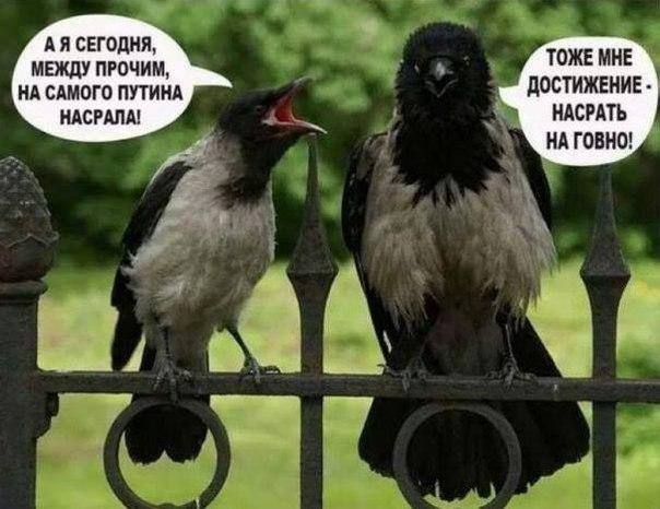 ф.jpg