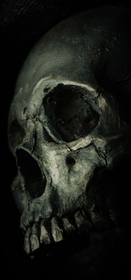 f131d0c2bb4c18e9bf1e9091df20bb4e.jpg