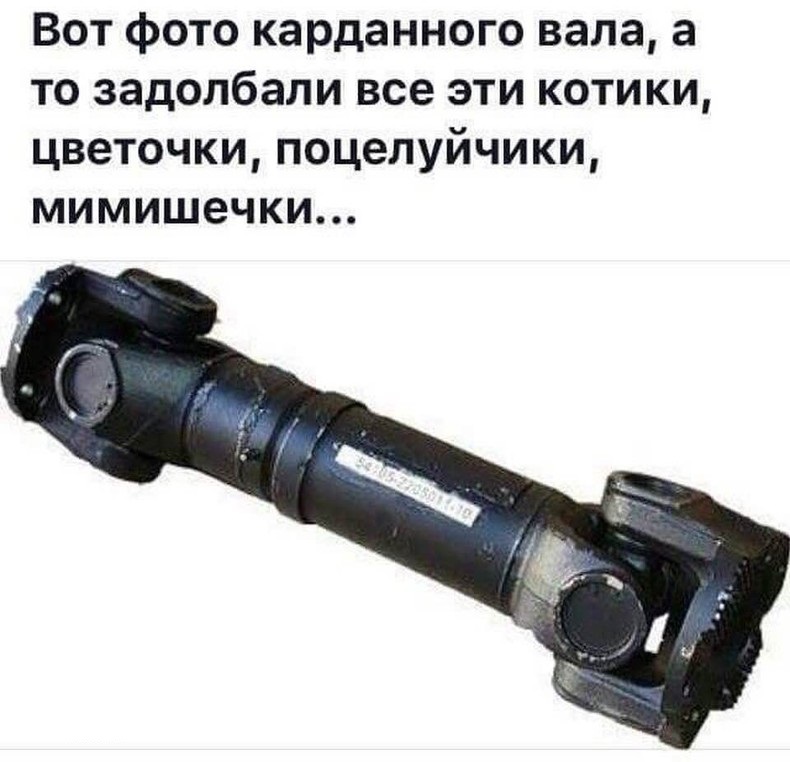 f3b6461eb9d7ac6d19f4bbdcded5f52b.jpeg
