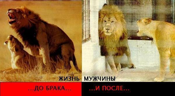 f4f2e75a7f8d29c5003fc3ceee660f94_i-1232.jpg