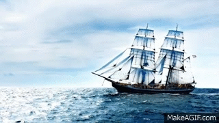 F52DA3C5-B54E-491B-9D23-A07A58A36C45.gif