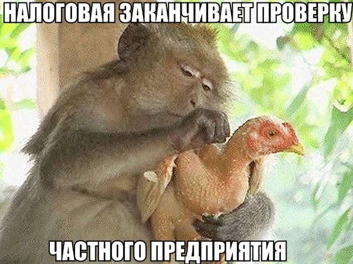f612f7f8.jpg