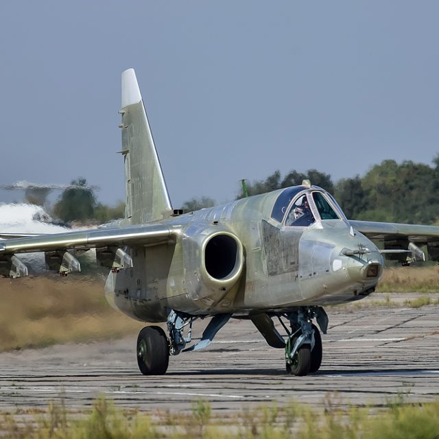 f7d34a178d11.jpg