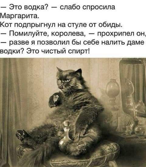 f8980d4805153df07932ba4f54b72e7a.jpg