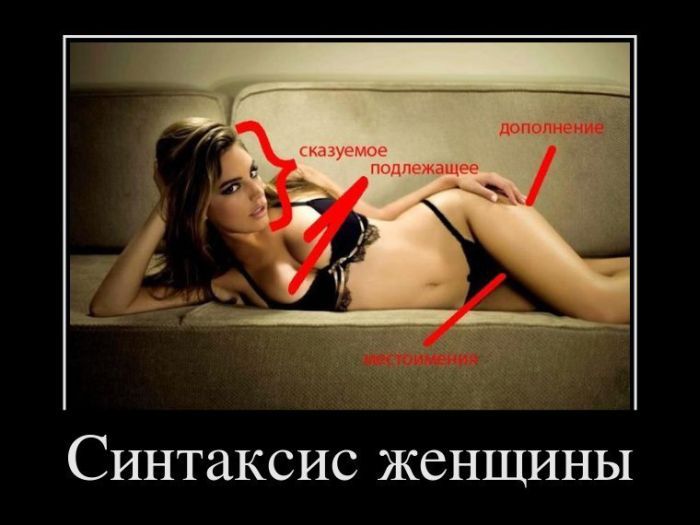 f_d79a69c0e8e2c5be1183b3bafa6b9.jpg