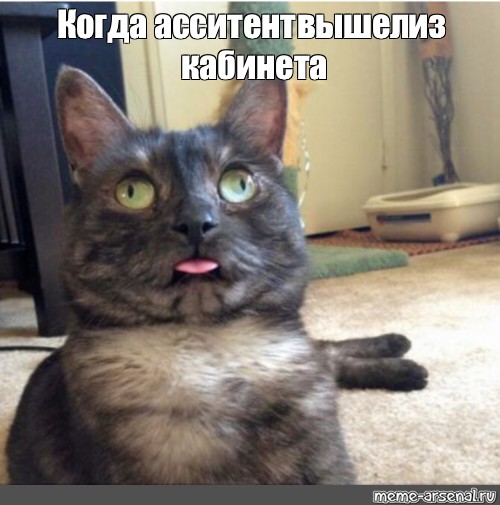 fa5cdd1a3b1a99f3f604f3bb20ee611e.jpg