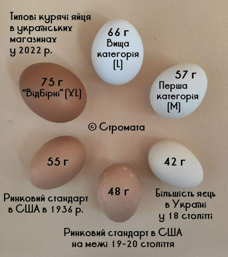 fa75ba56dc738eeb4bee1dc91f43f6fa.png
