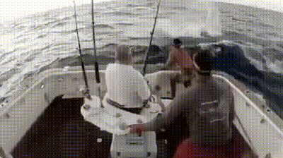 FAEC1685-A27E-4837-8E69-8D6899AF8EB6.gif