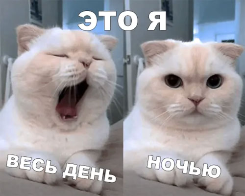 FB0DEE03-D824-4BFC-ADAF-952E683FC262.png