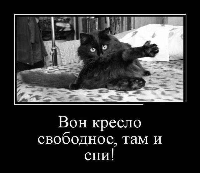 fb34769553.jpg
