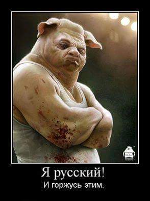 FB_IMG_1515772278600.jpg