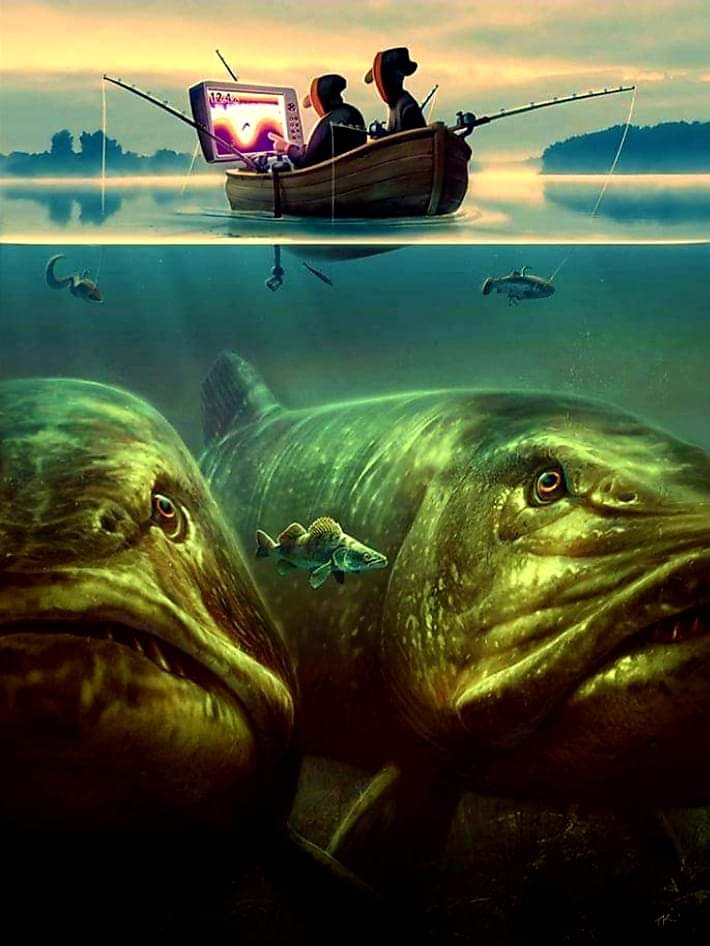FB_IMG_1556027259499.jpg