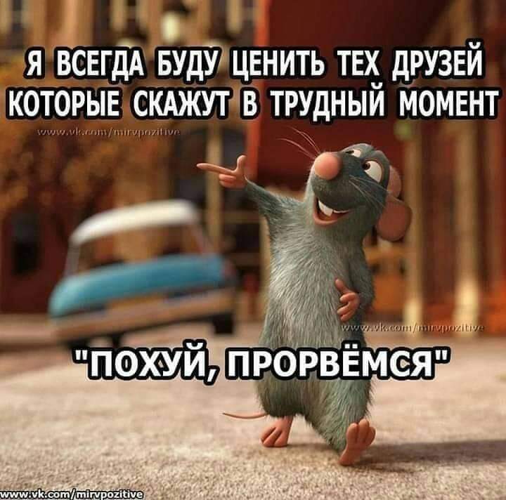 FB_IMG_1556183187632.jpg