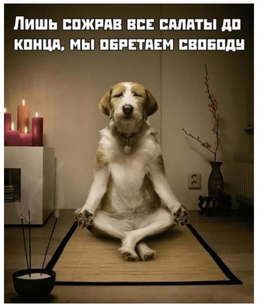 FB_IMG_1577979823841.jpg