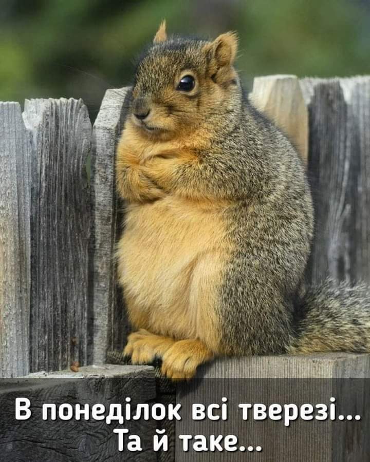 FB_IMG_1601286649761.jpg