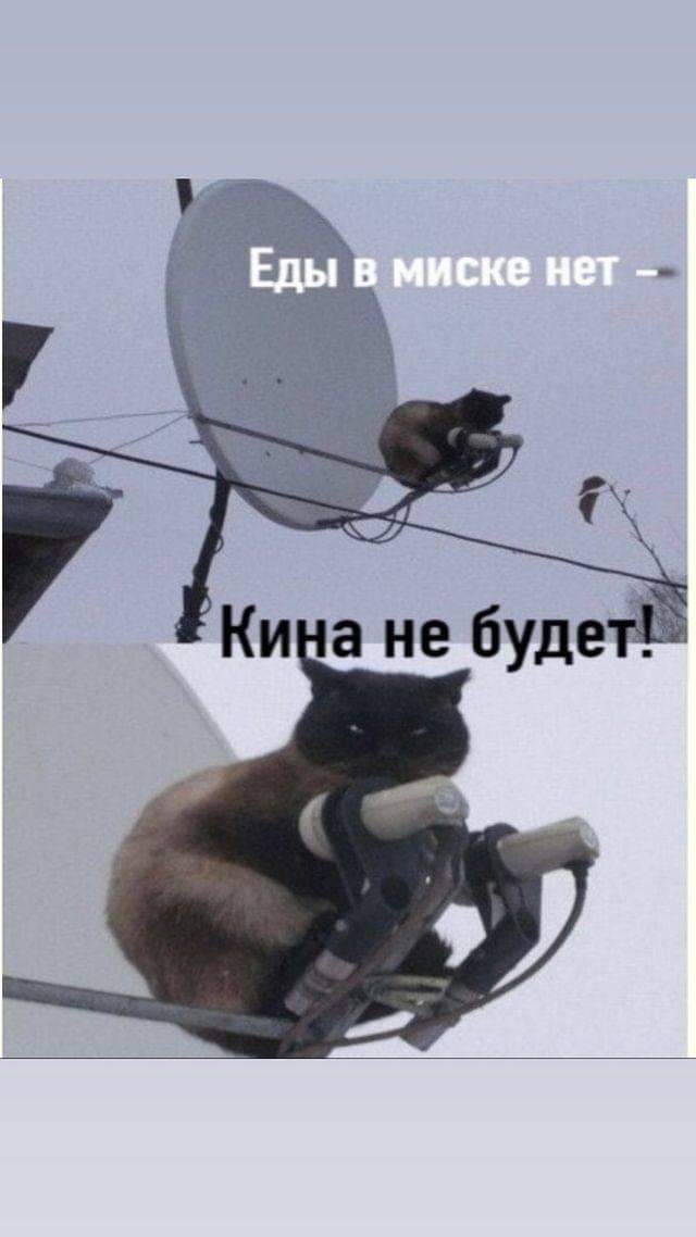FB_IMG_1608748678271.jpg