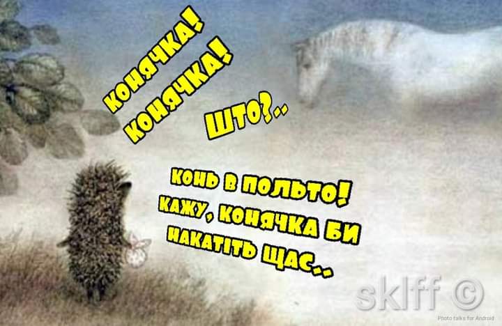 FB_IMG_1615287048172.jpg