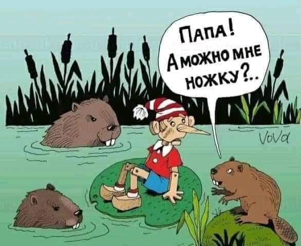 FB_IMG_1634205569078.jpg