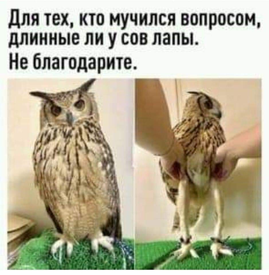 FB_IMG_1642705181227.jpg