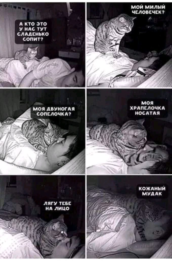 FB_IMG_16439805007344604.jpg