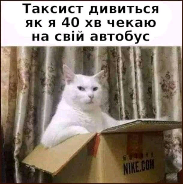 FB_IMG_16439809970670322.jpg