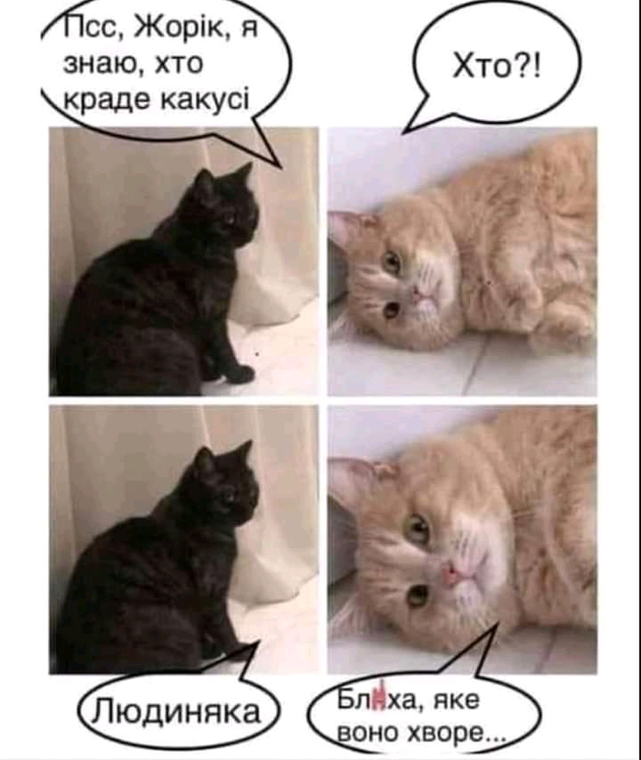 FB_IMG_16439858150757317.jpg