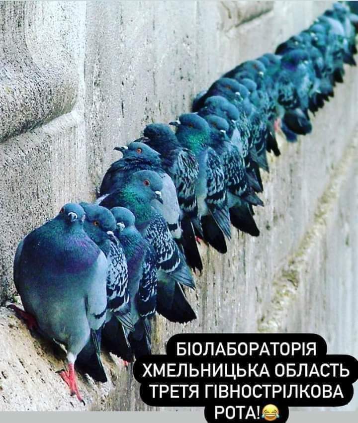 FB_IMG_1648467709856.jpg