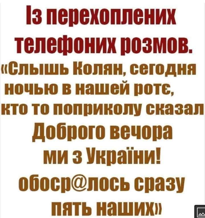 FB_IMG_1654592403644.jpg