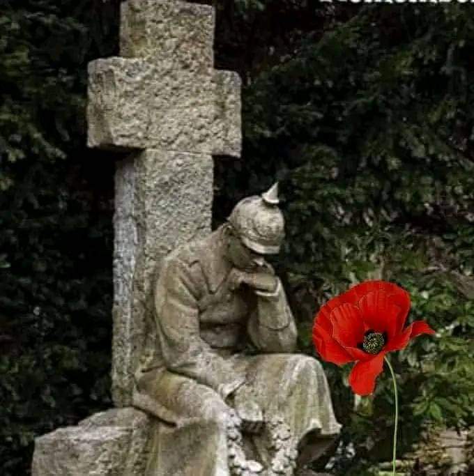 FB_IMG_1677518478325.jpg