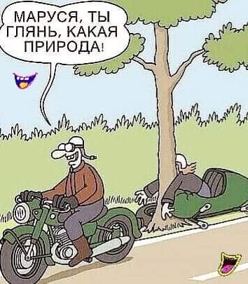 FB_IMG_1697286299841.jpg
